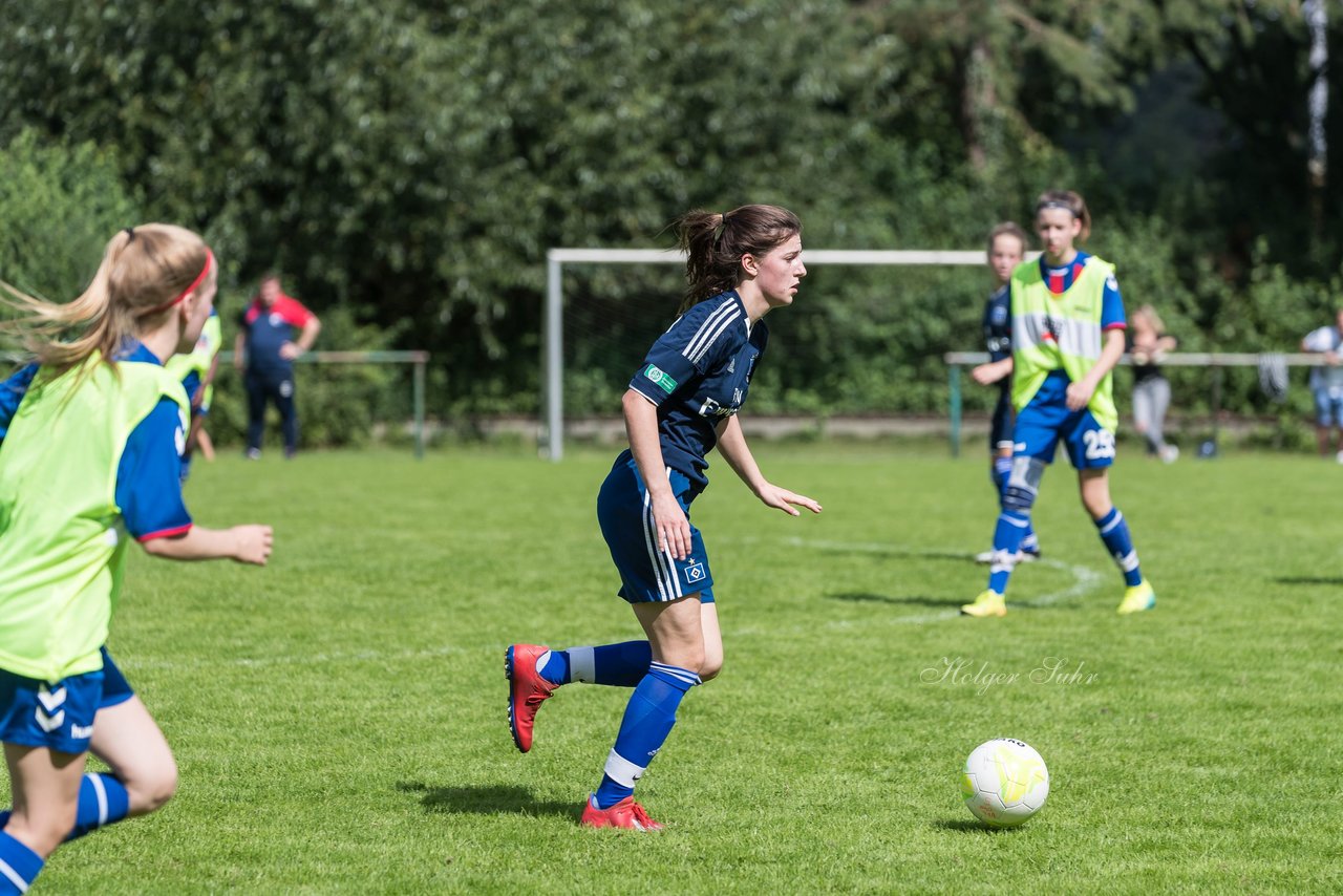 Bild 310 - B-Juniorinnen VfL Pinneberg - HSV : Ergebnis: 1:4